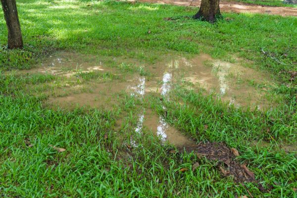Storm Water Drainage Service in Noblesville