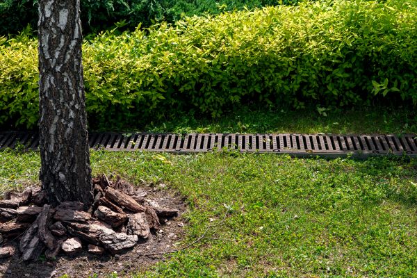 Garden Drainage Installation in Noblesville