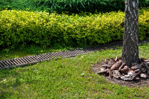 Residential Landscape Drainage in Noblesville