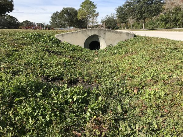 Cost of Swale Drainage Service in Noblesville